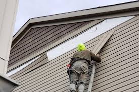 Best Insulated Siding Installation  in Winnie, TX